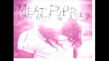 Meat Puppets - Comin Down и Lake of Fire 