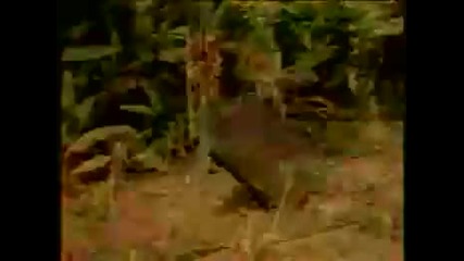 The Prodigy - voodoo people 