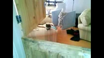 Supercat