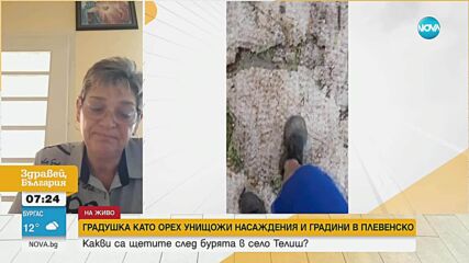 Какви са щетите в Телиш след градушката в четвъртък