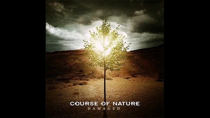 Course Of Nature - The Window