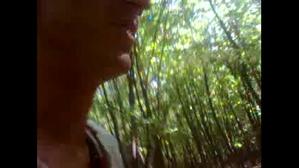 Amazon Ormanlari Brazilya Topikal Yasam 2015 Hd
