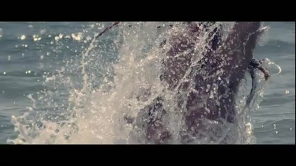 Leona Lewis Feat. Avicii – Collide + превод( H D)( Official Video)