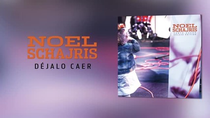 Noel Schajris - Dejalo Caer