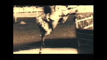 The Butterfly Effect - One second of insanity