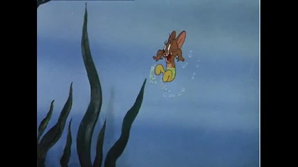Tom and Jerry - The Cat and The Mermouse 