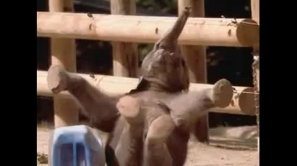Снимки хванати в точния момент ! Смях !