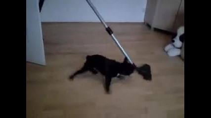 Drift Dog--toва е дрифт