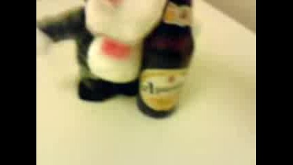 Reklama Beer Ariana