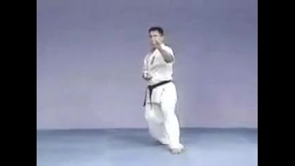 Pinan sono Ni Kyokushinkai kata