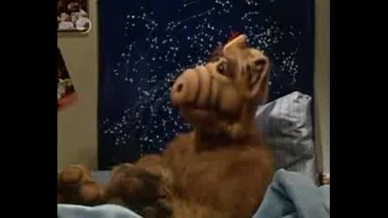 Alf
