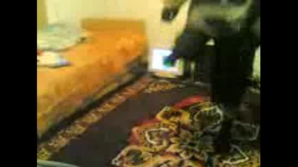 Gogata walk step
