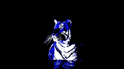 Miike Snow - Animal