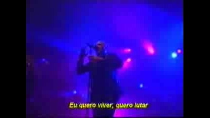 Narnia - Long Live The King