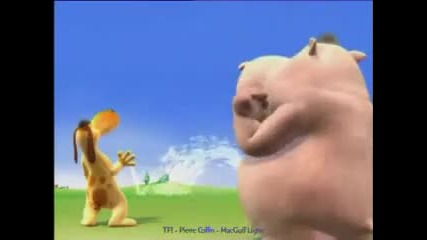 the hippo and the dog playing 