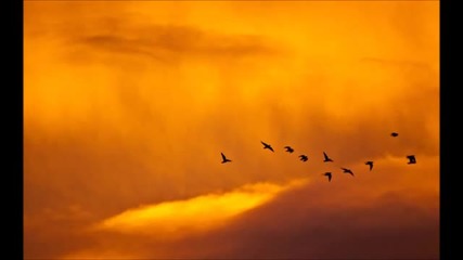 Marconi Union - Weightless
