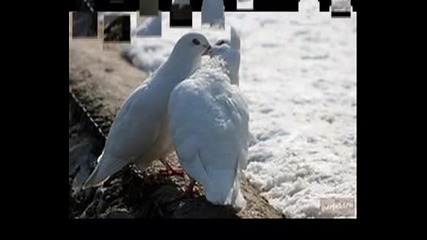 Майка На 16 Години