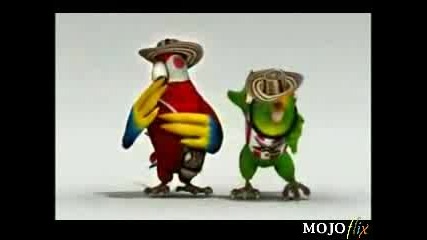 Dancing and Singing Mexican Birds