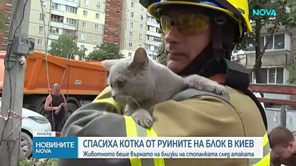 След повече от денонощие под руините: Спасиха котката в Киев