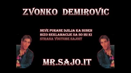 Zvonko Demirovic _31_ Rubi Latino - Sajo - It.wmv
