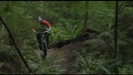 Downhill 2