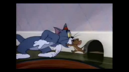 Tom And Jerry - Nit witty kitty