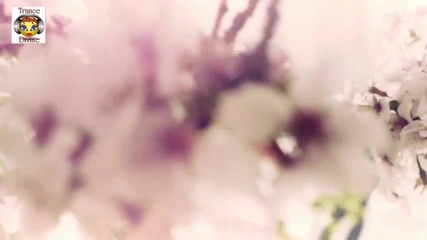 Vocal+trance Music