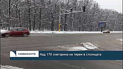 Над 170 снегорина на терен в столицата