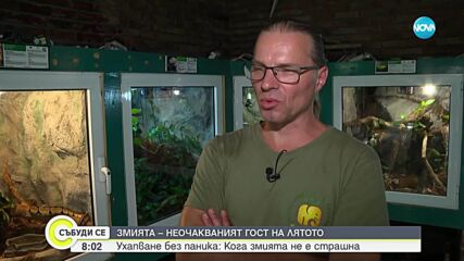 Змии в града: Какво трябва да знаем и кога няма място за паника