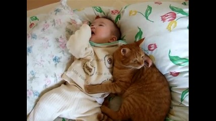 Коте и бебе 4