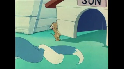Tom and Jerry - Love That Pup 