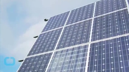 Record Boost in New Solar Power Continues Massive Industry Growth