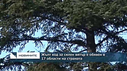 Жълт код за силен вятър е обявен в 17 области на страната