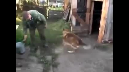 Куче не иска да се къпе, затваря си само къщата