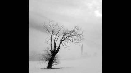 Chiaroscuro - Silent Snow 