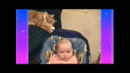 Crazy Animals