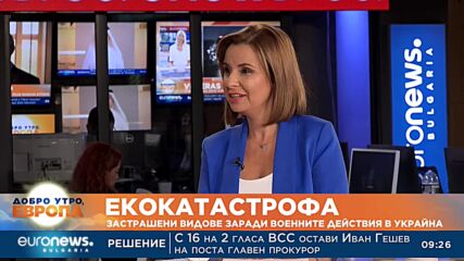 Повече от 3000 делфина са загинали в Черно море заради войната в Украйна