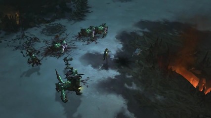 Diablo I I I - Demon Hunter: Sentry