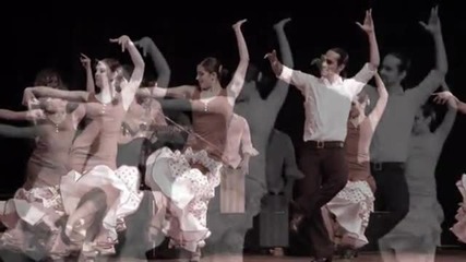 Flamenco 