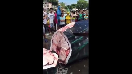 Китайци уловили огромна акула