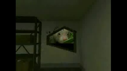 Funny Movie Cs 1.6 