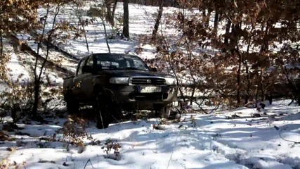 Nikola through the forest 