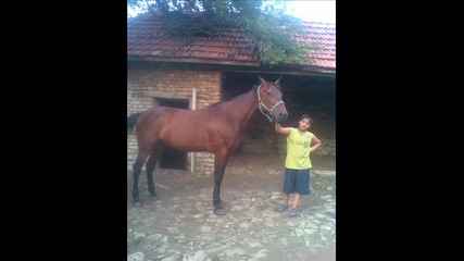 mironeri$$ raiko