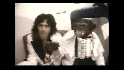 Alice Cooper - Elected