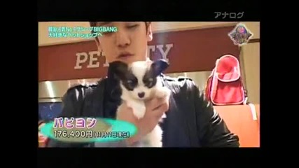 Big Bang in Television Weekly Magazine… and puppies 91 Comments Ghostwriter in Tv / Movies | 11 N 