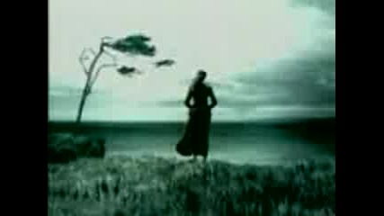Theringvideotape