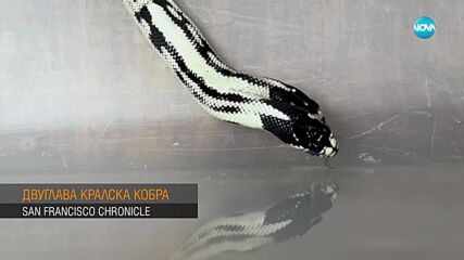 Риск от слана в средата на май