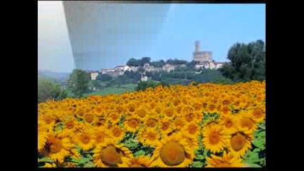 Mario Castelnuovo - Fiore di mezzanotte 