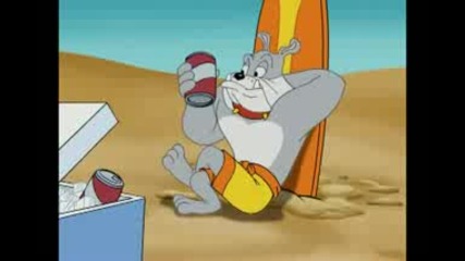 Tom And Jerry Tales - Beach Bully Bingo 