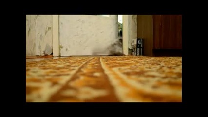 Изобретателно коте
